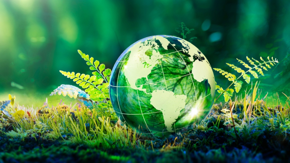 Environment Concept - Globe Glass In Green Forest With Sunlight